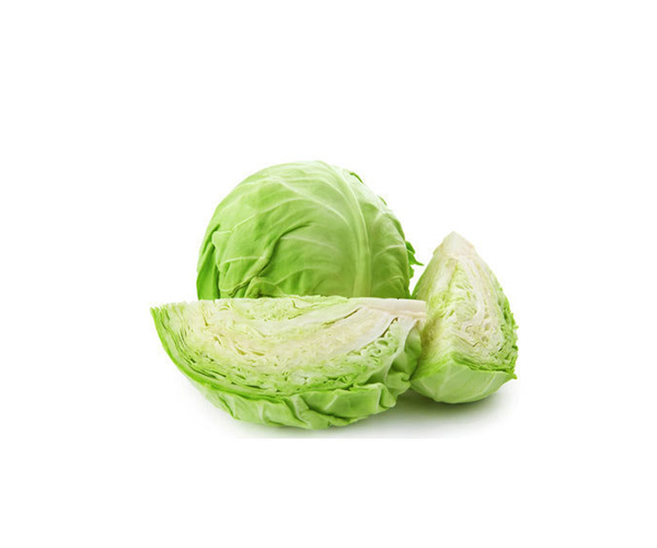 cabbage image