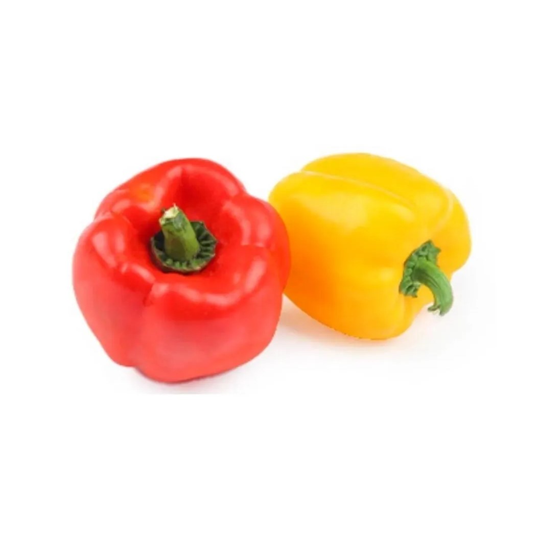 capsicum image